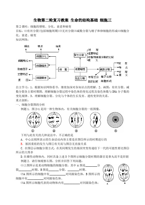 生物第二轮复习教案 生命的结构基础 细胞三