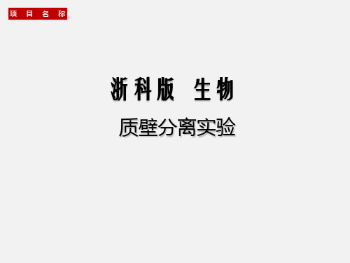 质壁分离实验-浙江高考生物一轮复习课件(浙科版)(共41张PPT)