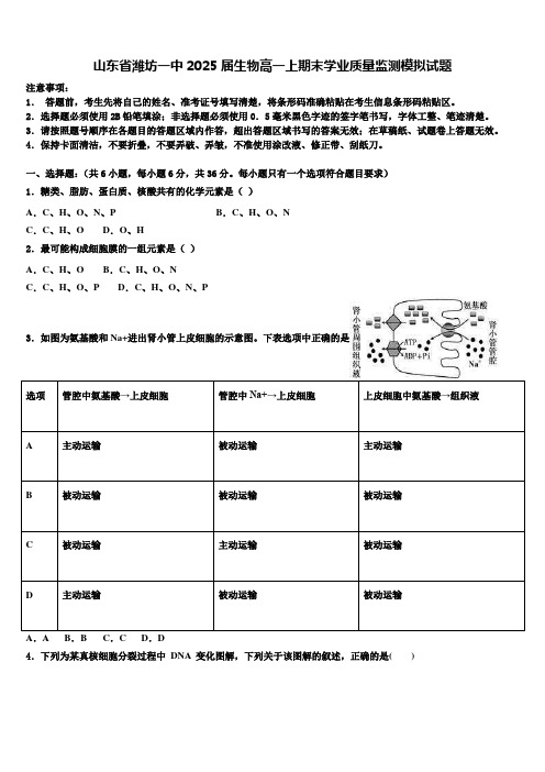 山东省潍坊一中2025届生物高一上期末学业质量监测模拟试题含解析