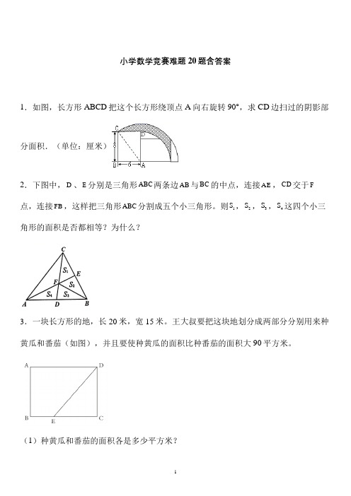 名校小升初数学经典难题应用题20题 (9)