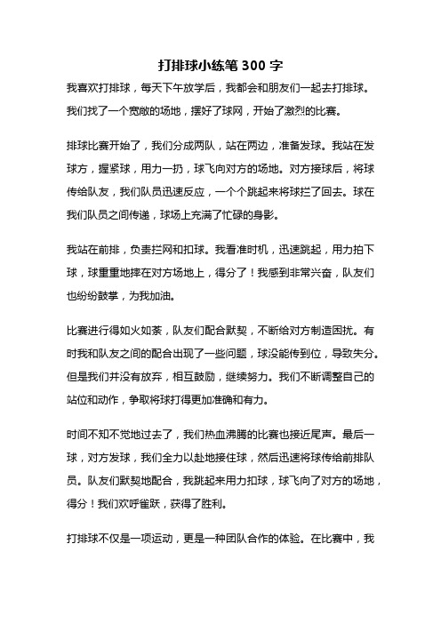 打排球小练笔300字