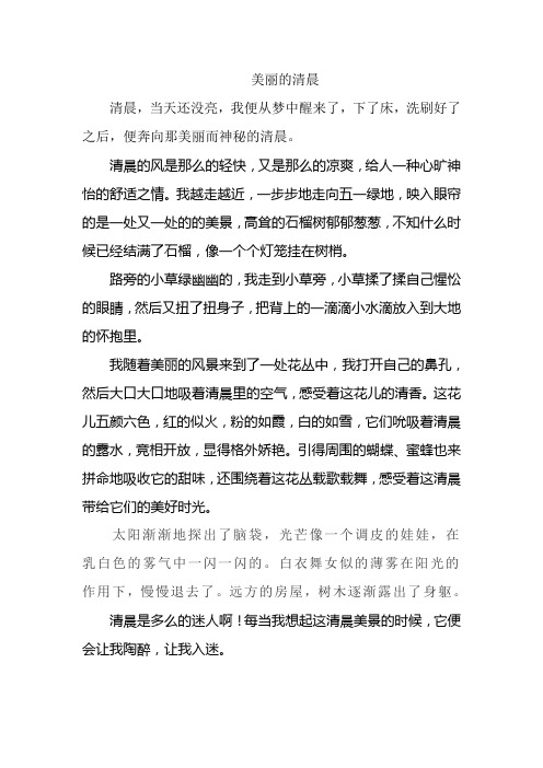 美丽的清晨