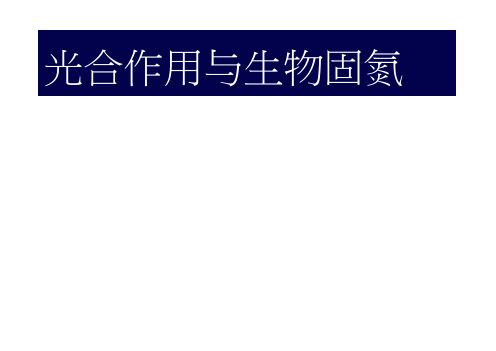 高三生物课件：《生物固氮》