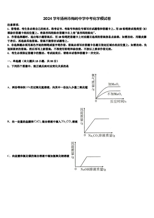 2024届扬州市梅岭中学中考化学模试卷含解析