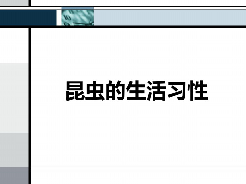 四年级下册科学优质课件-《昆虫的生活习性》 北京版