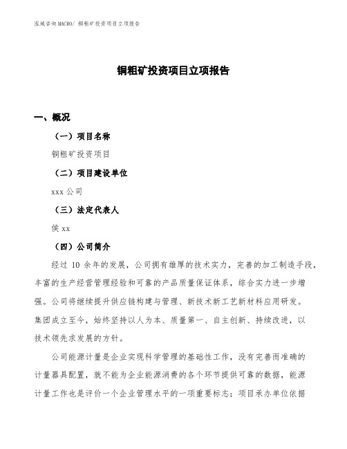 铜粗矿投资项目立项报告