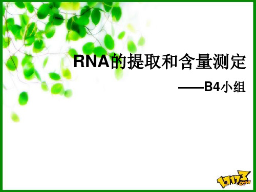 RNA的提取和含量测定