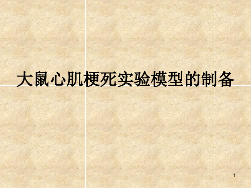 急性大鼠心肌梗死实验模型的制备ppt课件