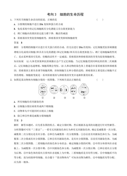 2015届高三生物二轮优化训练：热点考向练3 细胞的生命历程