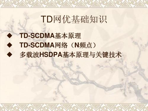 TD网优手册之一--基础知识篇