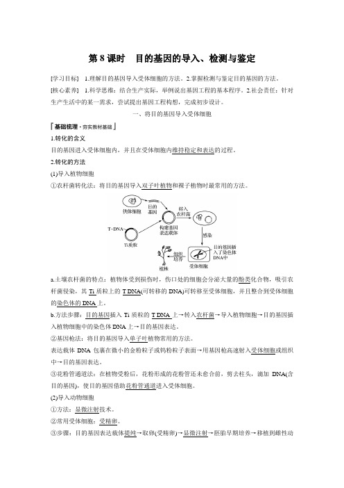 高中生物选修    基因工程   目的基因的导入、检测与鉴定