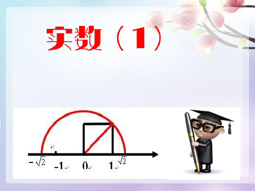 人教版数学七年级下册《实数》ppt