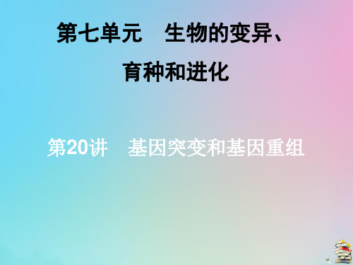 2020届高三生物一轮复习第七单元第23讲从杂交育种到基因工程课件新人教版