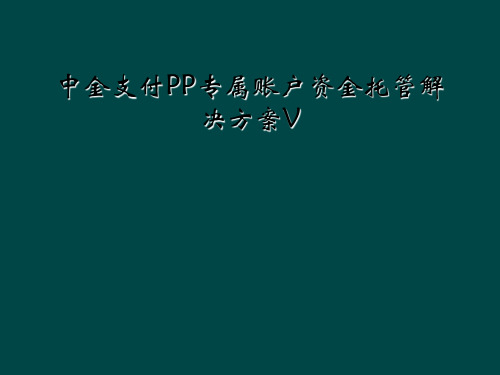 中金支付PP专属账户资金托管解决方案V