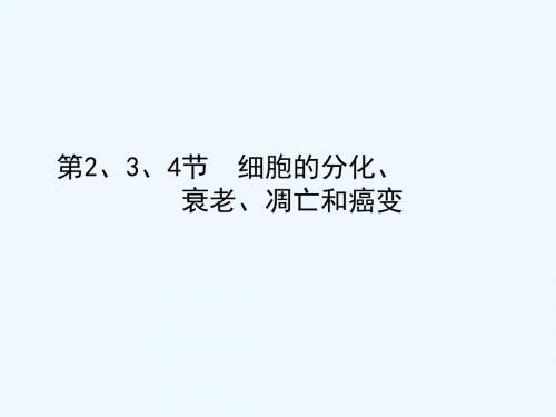 生物高考一轮复习课件必修第第节细胞的分化衰老凋亡和癌变