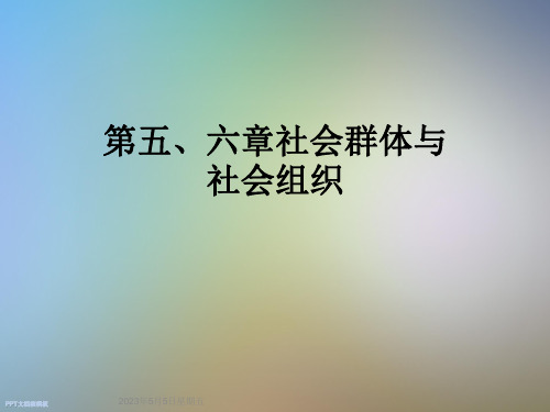 第五、六章社会群体与社会组织