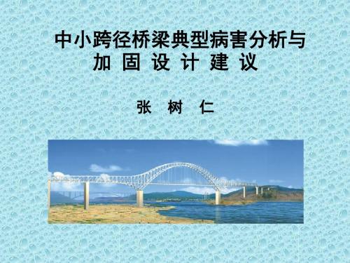 张树仁教授讲座ppt《中小跨径桥梁典型病害分析与加固设计建议》