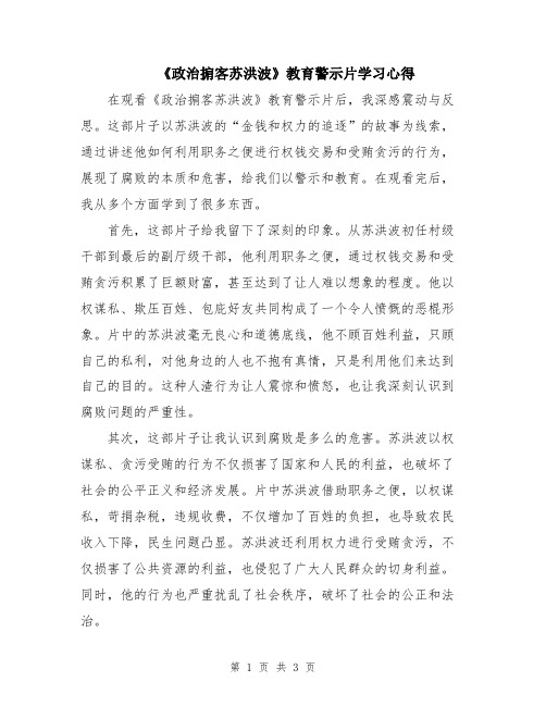 《政治掮客苏洪波》教育警示片学习心得