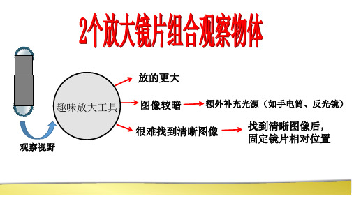 六年级下册科学课件-1.4 怎样放的更大｜教科版 (共7张PPT)