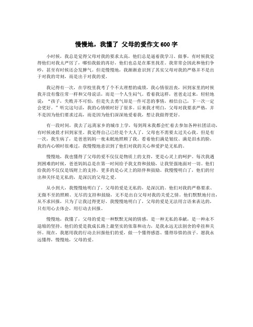 慢慢地,我懂了 父母的爱作文600字