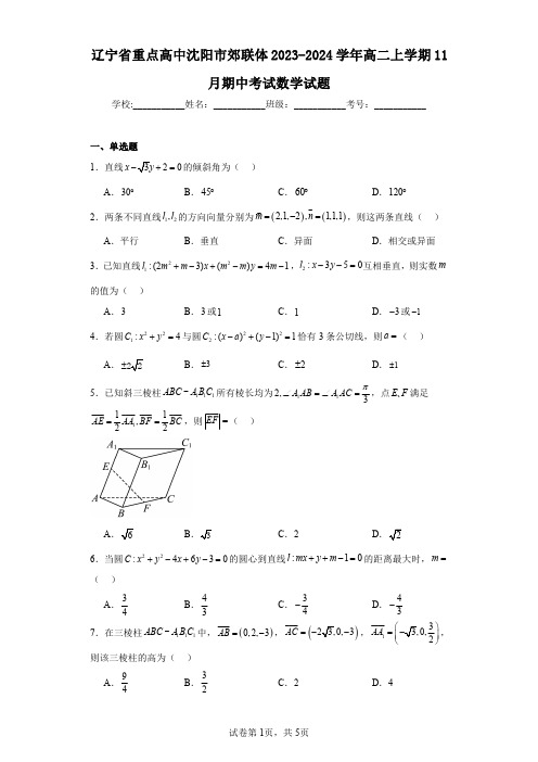 辽宁省重点高中沈阳市郊联体2023-2024学年高二上学期11月期中考试数学试题