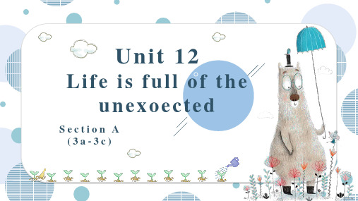 Unit12 第2课时 (Section A 3a-3c)(教学课件)九年级英语全一册(人教新目标)