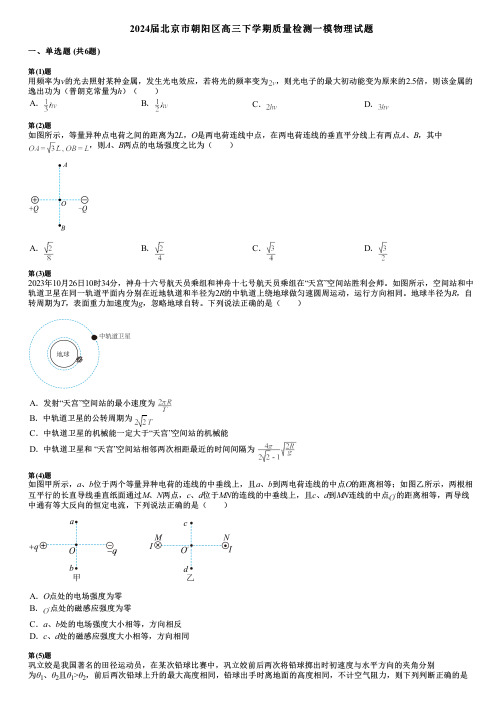 2024届北京市朝阳区高三下学期质量检测一模物理试题