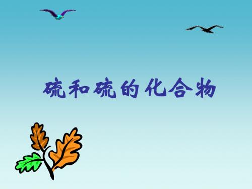 硫及其化合物