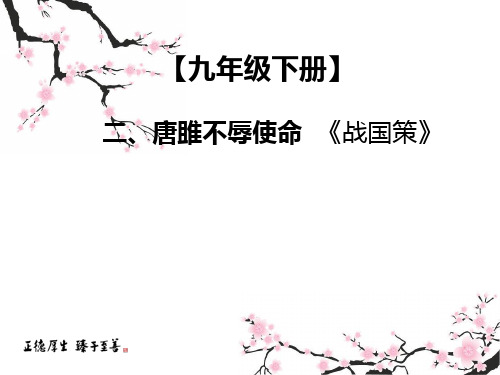 中考课外文言文专题复习语文9下二唐雎不辱使命课件