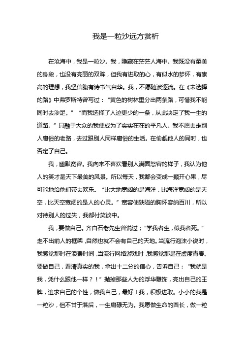 我是一粒沙远方赏析