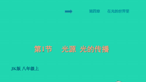 八年级物理上册第4章在光的世界里光源光的传播习题课件新版教科版ppt