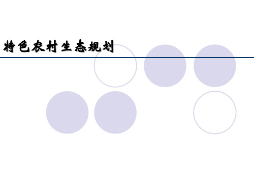 特色农村规划方案