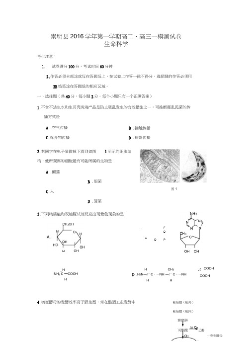 上海市崇明县2016-2017学年高二、高三上学期一模测试生命科学试卷Word版含答案