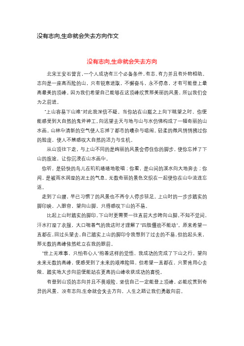 没有志向,生命就会失去方向作文