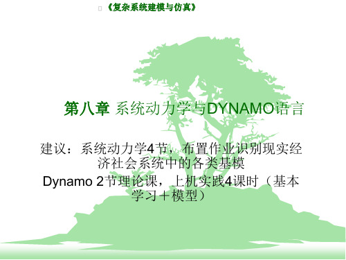 8.1第八章系统动力学与DYNAMO模型