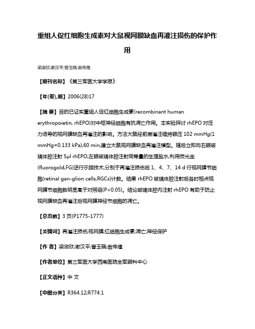 重组人促红细胞生成素对大鼠视网膜缺血再灌注损伤的保护作用