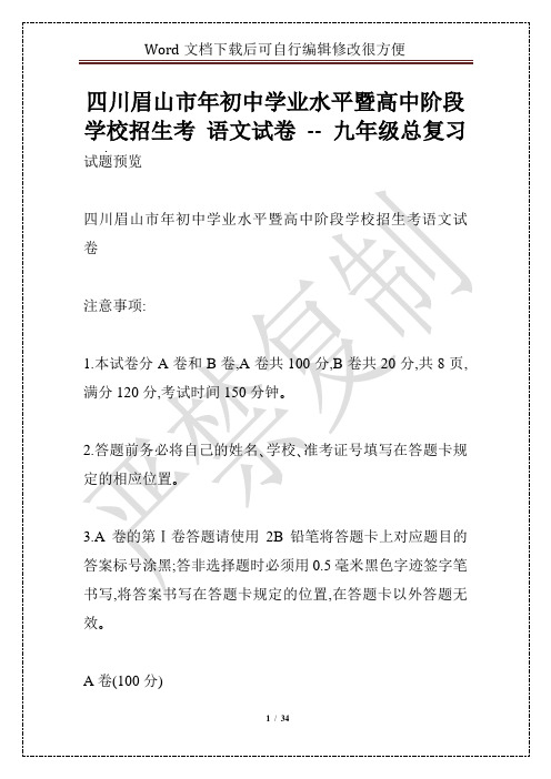 四川眉山市年初中学业水平暨高中阶段学校招生考 语文试卷 -- 九年级总复习