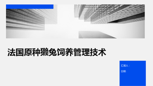 法国原种獭兔饲养管理技术