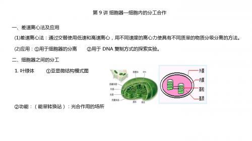 人教版  2019届高三生物 一轮复习课件细胞器(共15张PPT)