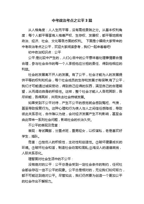 中考政治考点之公平3篇