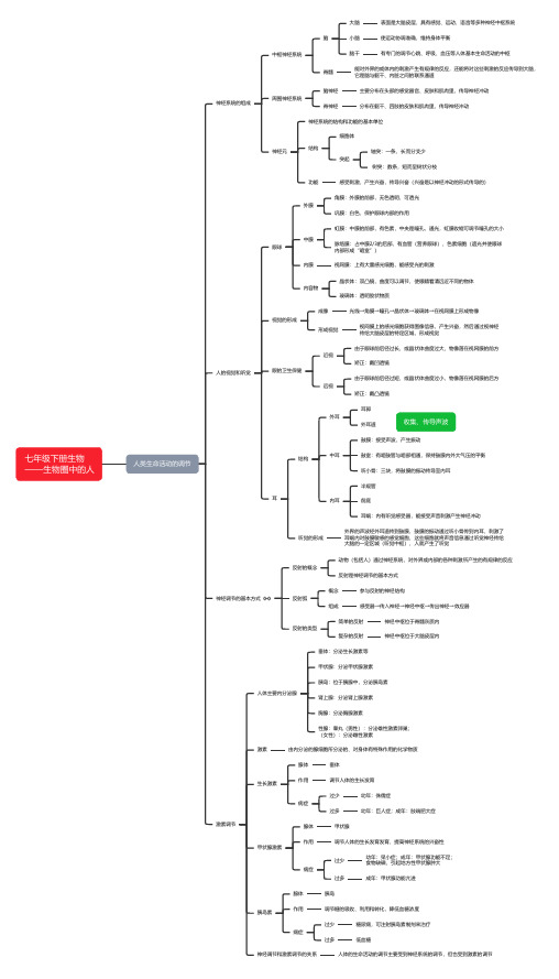 七年级生物下册第六章人类生命活动的调节思维导图