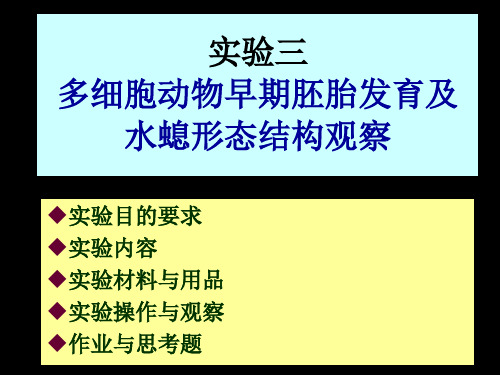 多细胞动物早期胚胎发育及水螅形态结构观察.