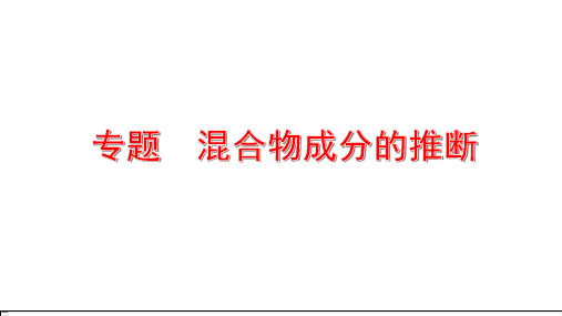 中考化学专题复习 混合物成分的推断