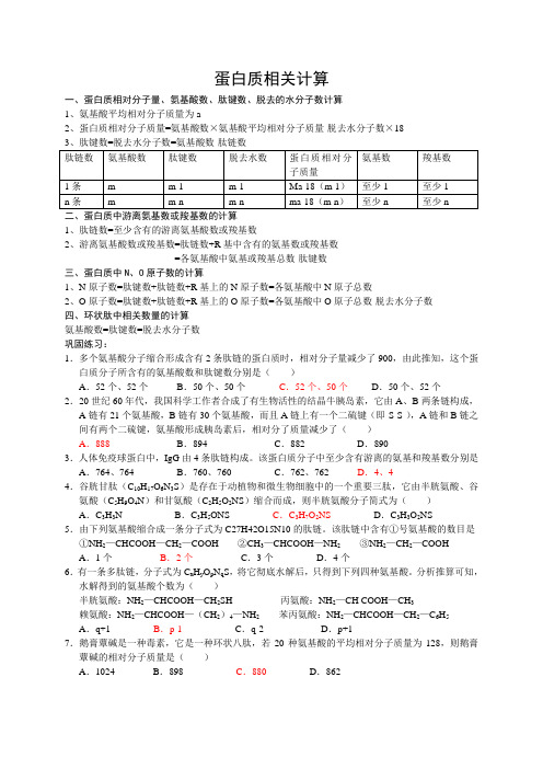 蛋白质相关计算