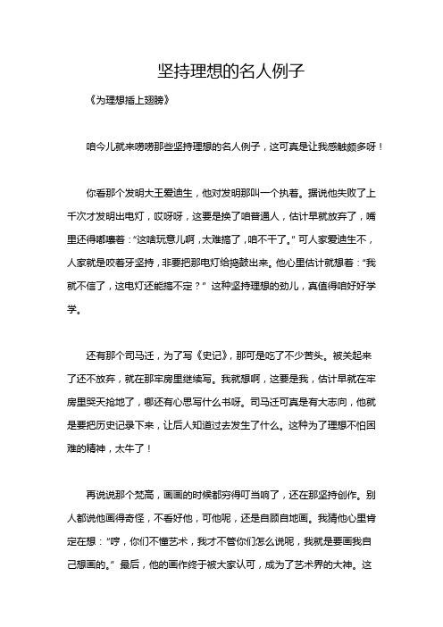 坚持理想的名人例子