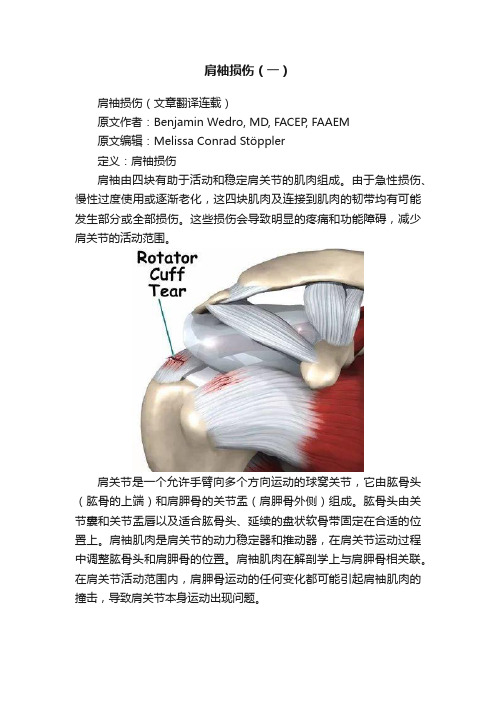 肩袖损伤（一）