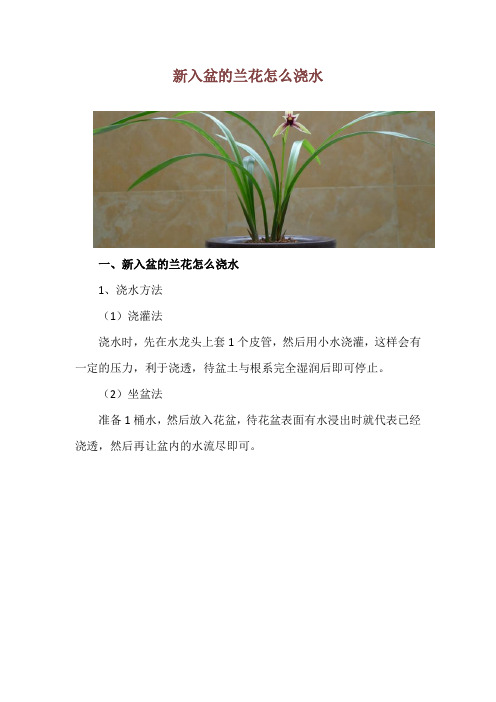 新入盆的兰花怎么浇水