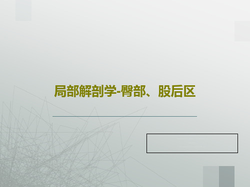 局部解剖学-臀部、股后区24页文档