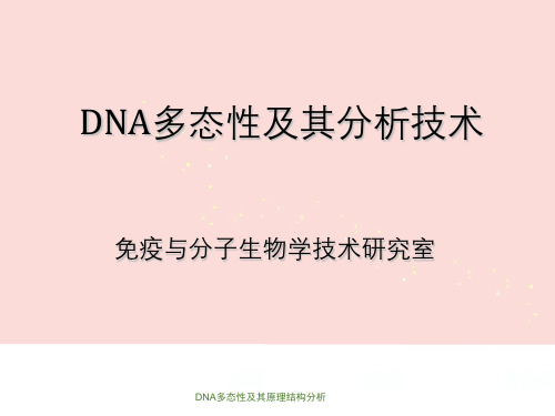 DNA多态性及其原理结构分析