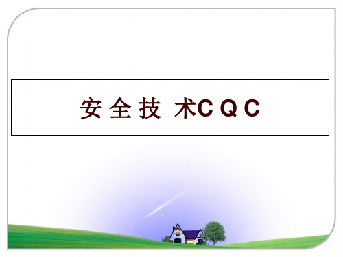 最新安 全 技  术C Q Cppt课件